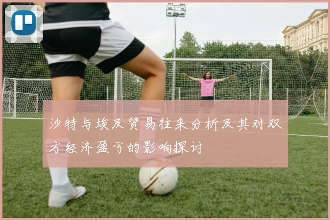 沙特与埃及贸易往来分析及其对双方经济盈亏的影响探讨